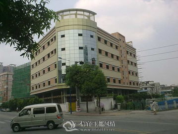 广州城中村中，哪个村是改写为最有钱的村？