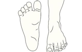 二、 体相特征与财富守成嫩力的深度剖析