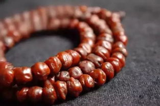 柏子五行属什么吉凶？柏子是哪种树的种子？