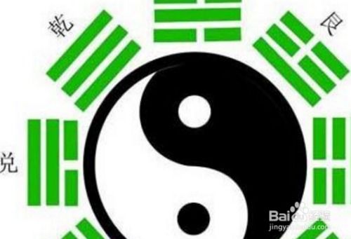 三、择偶智慧：互补格局以增添情感支持