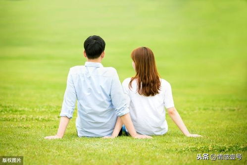 ：当代婚姻危机与玄学干预的兴起