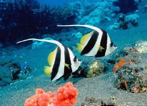 游玩路线暗藏风水玄机