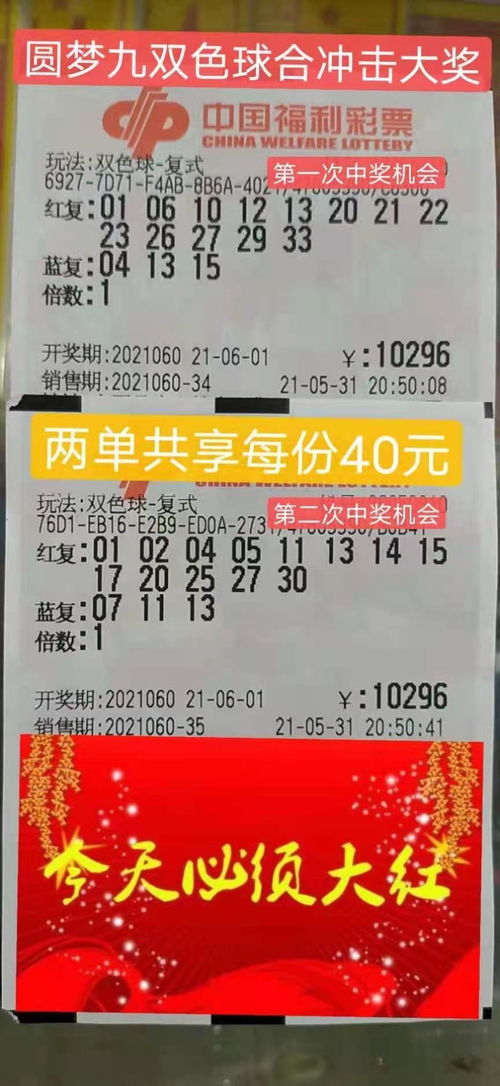 2026年属兔运势详解，揭秘2026年属兔人的运势变化是怎样的？