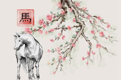 感情运势解析