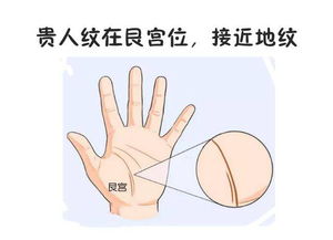 解剖学位置与传统称谓