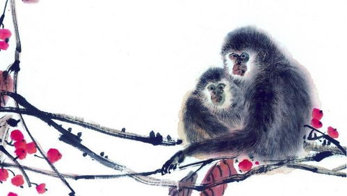 赤手起家是属猴的，赤手起家打一动物是什么生肖？