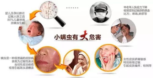 一、 螨虫流行学特征及其在风水格局中的隐喻