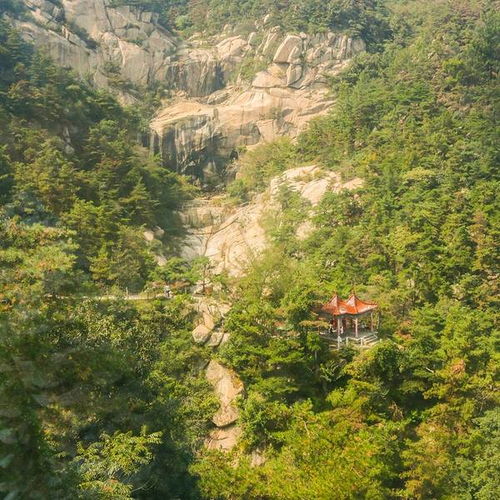 蒙山国家森林公园门票优惠攻略大放送！不堪后悔一辈子！