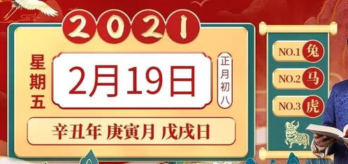 四、 卯兔：统筹全局，聚焦核心