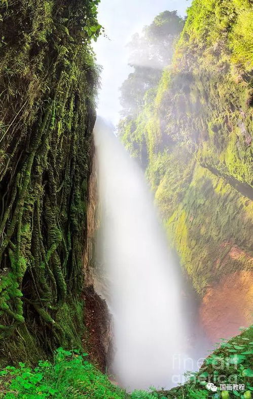 深山长谷和深山老林分别代表哪个生肖？