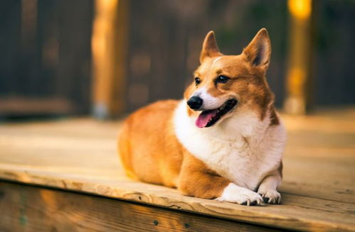 健康状况：保持良好心态是关键