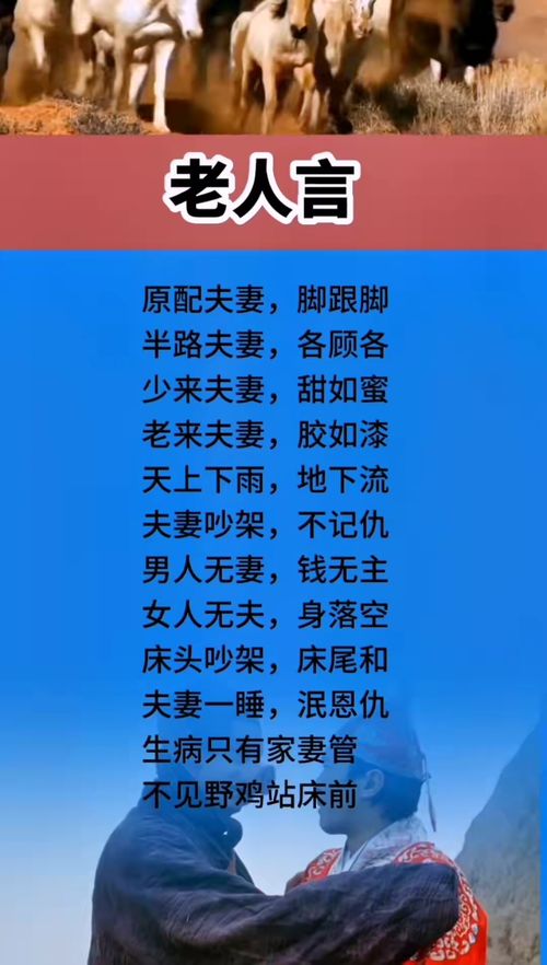 三、 传承机制：教育实践与公共活动的协同推进