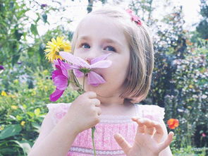 一、 生肖文化的意蕴及其在网名设计中的应用