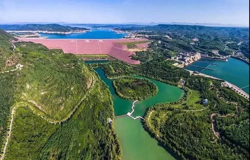 郑州黄河滩景区门票优惠：是真省钱还是套路？