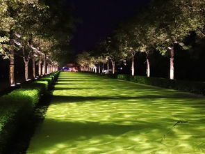 香草世界=大型割韭菜现场？