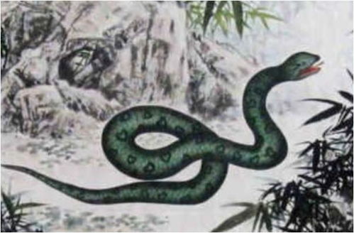 1953年属蛇人2026年事业运势如何，今天财运怎样？