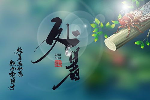 北方地区：抢水、 祭车神及相关谚语阐释