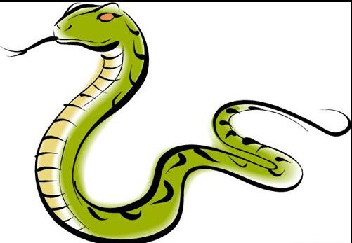 2024年生肖蛇全年运势每个月具体运势分别是什么？