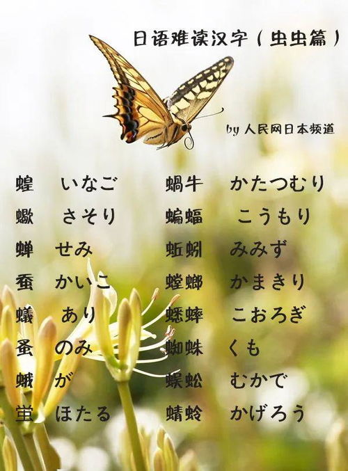 二、  节气与物候结合：纳禽窗口期的科学界定