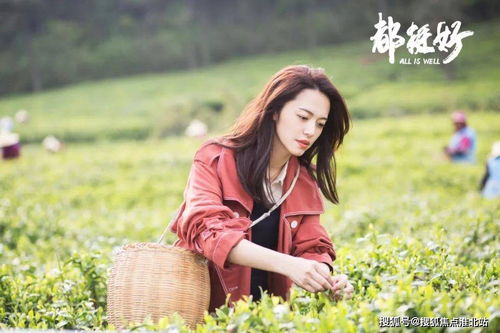舒·雅·涵：三字组合的微妙平衡