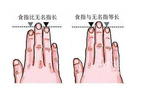 二、 手相特征：洞察内在潜力的窗口