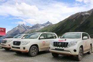 锡林浩特租车一日游：一场惯与被宰的史诗