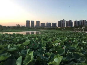 地形地貌与“依山傍水”的格局构建