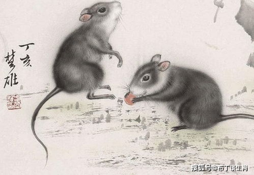 属马十月出生哪个时辰最吉祥？1984年属鼠改命后是何种命格？