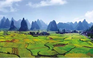 广西横州六味村那片被传为风水宝地的将军地，究竟有何神奇之处？