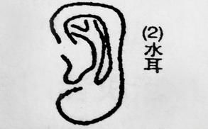 四、 扇风耳与命运