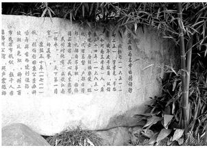 二、 张伯行生平与官职轨迹