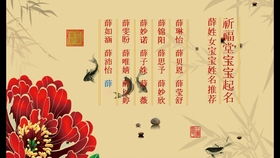 结合张姓寓意