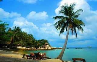 1. 那些被过度宣传的“世外桃源”：小心踩雷！