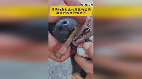 二、  诡异事件的发生：鱼钩与鬼影——现实与虚幻的边界模糊