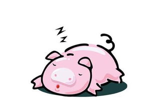 2026年属猪女性在爱情和财运方面表现如何？