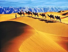 第五章：那些没人告诉你的“小惊喜”(噪声版)