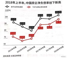 五、 风险因素管理与持续发展策略