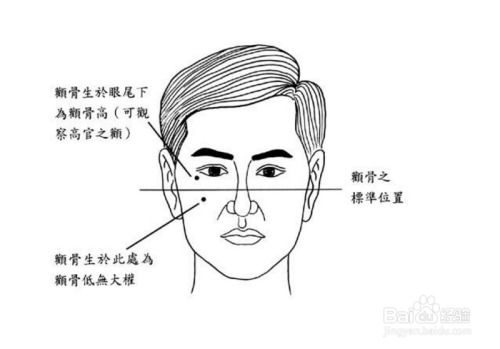 男人地包天面相与妻子健康风险：一个值得深入探讨的问题