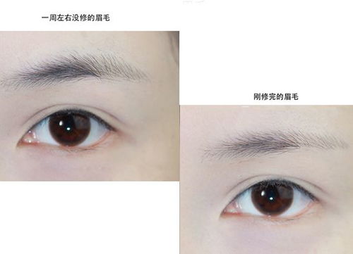 梦见自己剪眉毛流血是什么预兆？