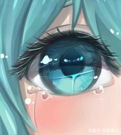 一、 