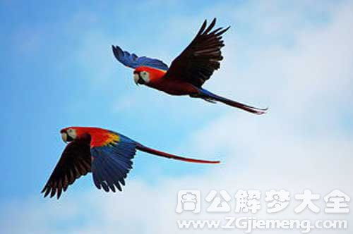 一、  梦见龙在天上飞：普遍寓意与象征