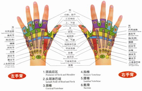 （一） 朝水局：气运汇聚的宏大态势