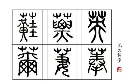 惯与“英”字的理解（极其个人化）