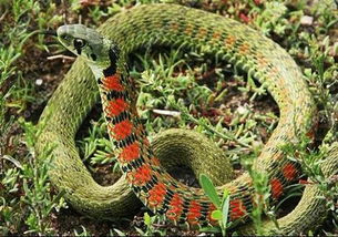 四、如何在实际操作中避免尴尬（或着制造尴尬）？