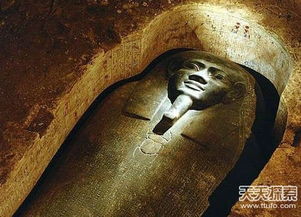 ：古墓惊魂夜之叙事背景与研究意义