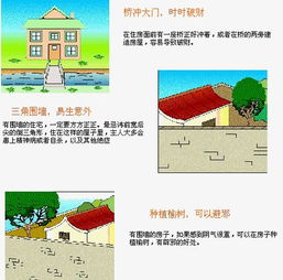 二、 前庭周边环境整洁度的理论阐释与实务规范