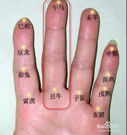 如何通过八字手指快速准确算命和年龄？