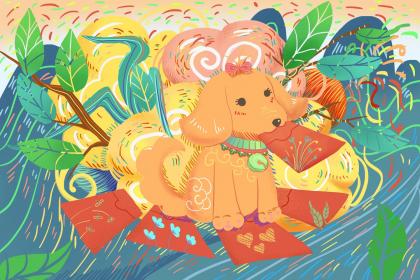 不同生肖对应的山头火命具体表现