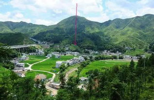 祖坟风水几年会明显显现吉凶，阳宅风水入门书籍推荐有哪些？