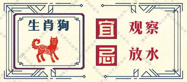 4月26日每日属相运势书具体内容是什么？